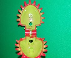 Lego Venus Fly Trap