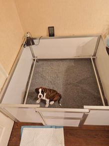 Whelping Box