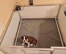 Whelping Box