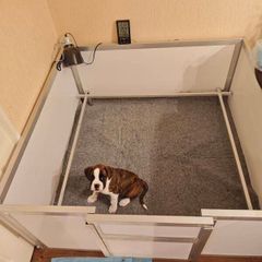 Whelping Box