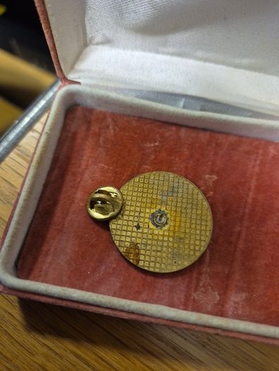 Vintage 1992 Munster School Girls League Pin