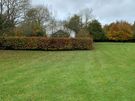 Garden Maintenance Image 9