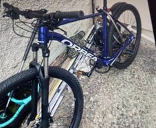 Mountain Bike (L)