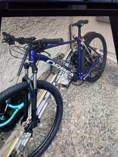 Mountain Bike (L)