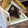 Thatched cottage bird house Image 5