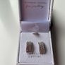 Tipperary Sliver Earrings Image 3