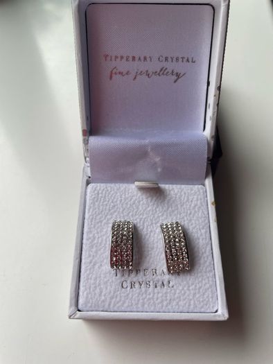 Tipperary Sliver Earrings