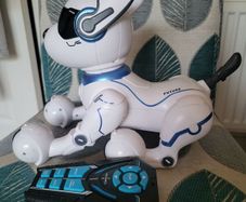 Ziggy  robo dog in perfect condition
