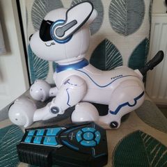 Ziggy  robo dog in perfect condition
