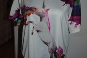 Unicorn elastic t-shirt size UK14 EU42 Postage included