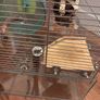 rodent cage Image 7