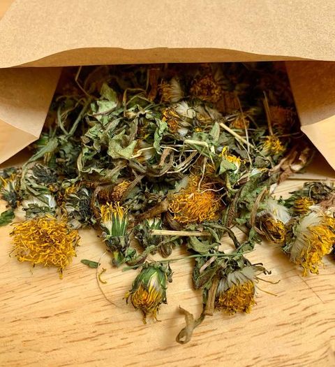 Dandelion Forage Snack Pack (100g)