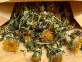 Dandelion Forage Snack Pack (100g)