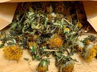 main image for ad Dandelion Forage Snack Pack (100g)