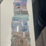 Arctic Territories banknotes Set 14 PCS, 1-500 Polar, Animal Polymer Banknote ( 2010 - 2017 ) Notes , UNC Codition, fantesy Note Image 5