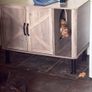 Cat litter box enclosure Image 4