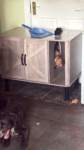 Cat litter box enclosure