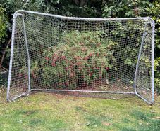Goal for free