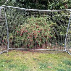 Goal for free