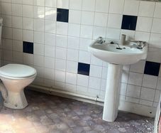 Sink & Toilet
