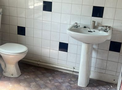 Sink & Toilet