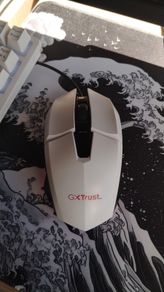 GXT Trust Gaming Mouse