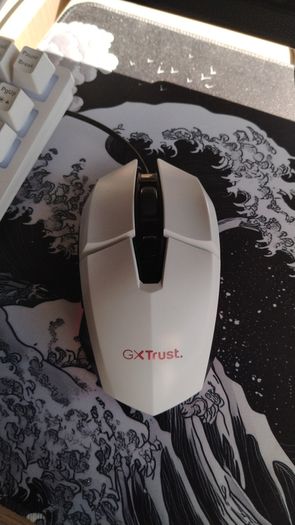 GXT Trust Gaming Mouse