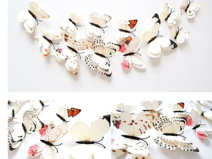 Double wing Butterflies