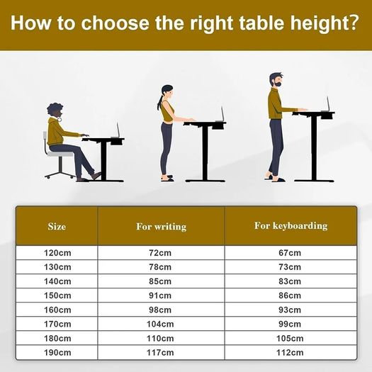 120 x 60cm Electric Standing Desk with USB Charging Port (New Sedentary Reminder), Height Adjustable Standing Desk with Cable Tray, Small Sit Stand Desk for Home Office (Brown)
