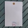 Original Watercolour Floral Painting Image 5