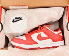 Nike Dunk Low Archeo Pink UK 4