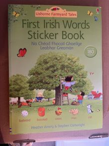 First Irish words