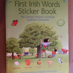 First Irish words