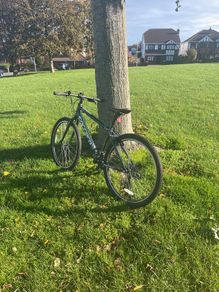 hybrid bike