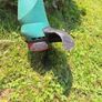 Two strimmers Image 5