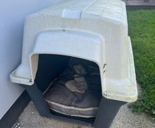 dog kennel