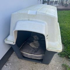 dog kennel