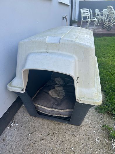dog kennel