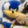 Teddies Image 3