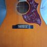 Epiphone Hummingbird Studio EC AN Image 6