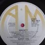 Rupert Hine - Immunity Vinyl LP (1981) UK 1st Pressing w/Inner Sleeve VG+ Electronic New Wave Image 4