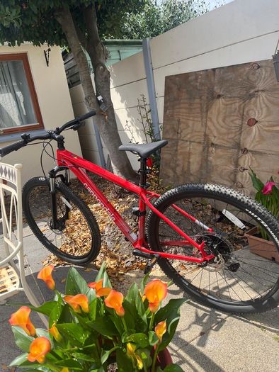 bike cannondale