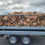 Trailer loads of mixed hardwood and softwood Image 4