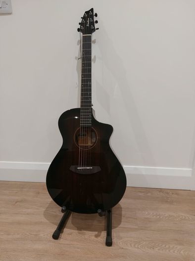 Breedlove Concert Pro guitar.