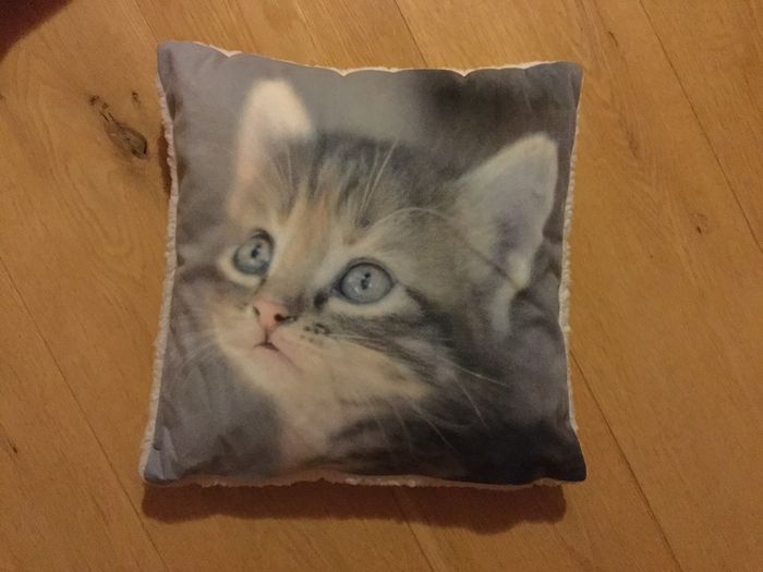Cushions with Cat images