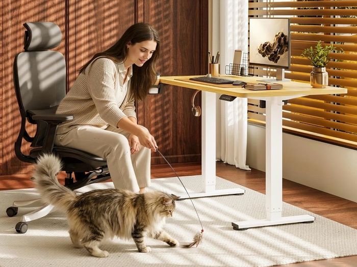 Electric Standing Desk 110x54 One Piece Height Adjustable Desk With Memory Smart Panel Sit Stand Table With Hooks for Home Office, Maple