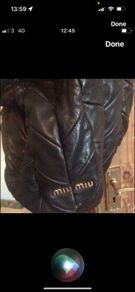 Miu Miu Handbag