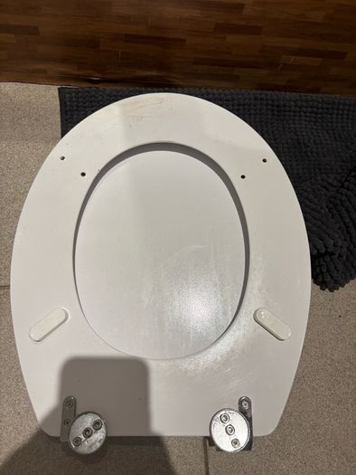 toilet seat