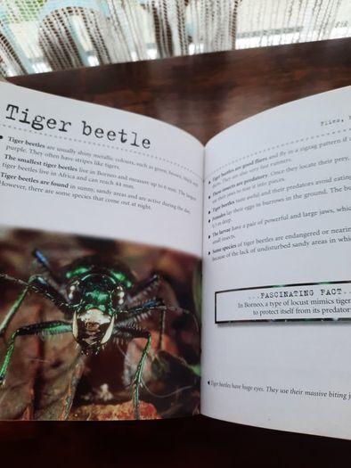 Visual Factfinder:Bugs 2008