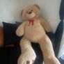 Big teddy Image 2